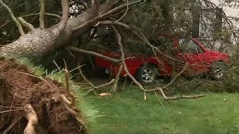 Storm brings down some trees, power lines in High Point