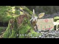 たかだ引越センターTVCM2021「飛べない鷹篇」【公式】