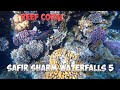 CORAL REEF - Safir Sharm Waterfalls Resort 5