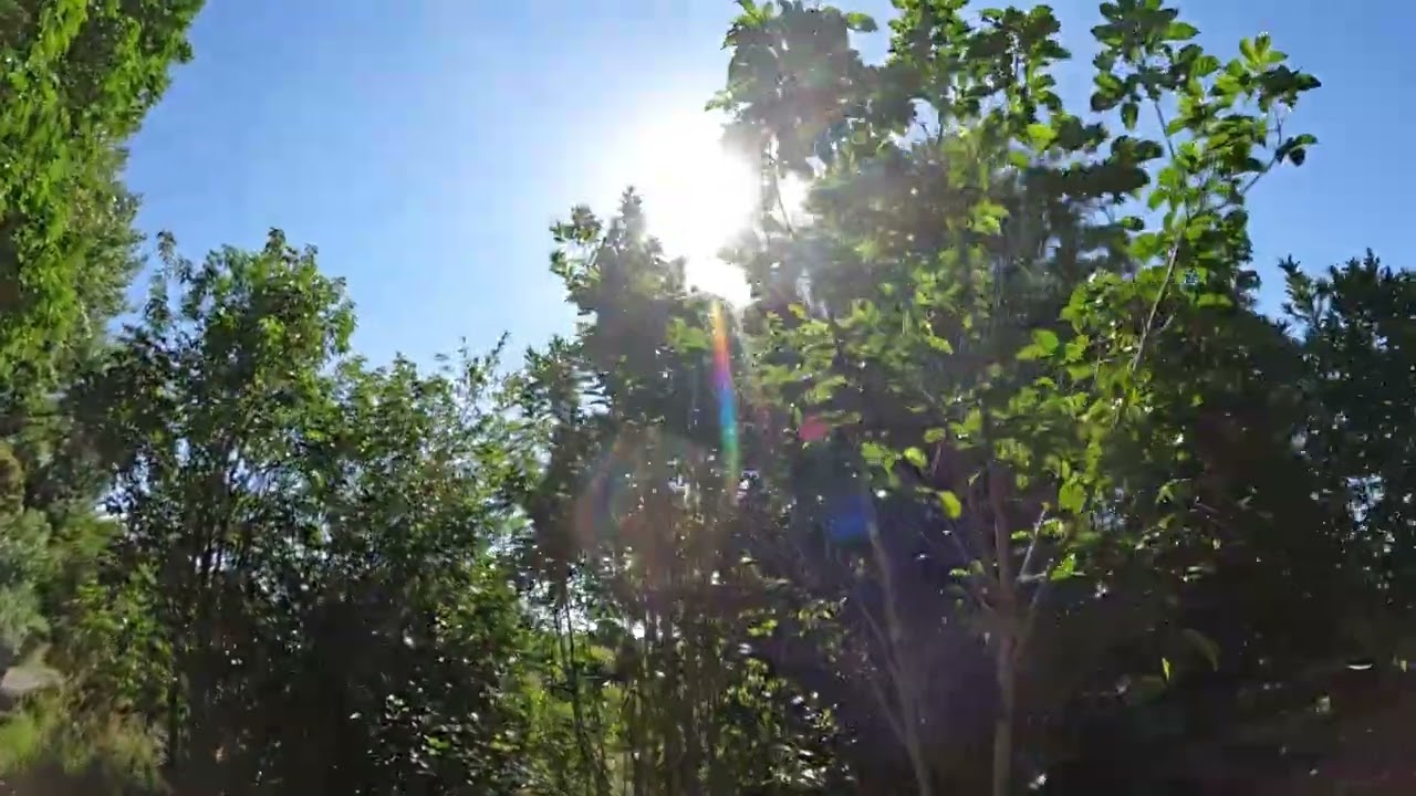 WALKING TOUR: Duder Regional Park, Auckland, New Zealand