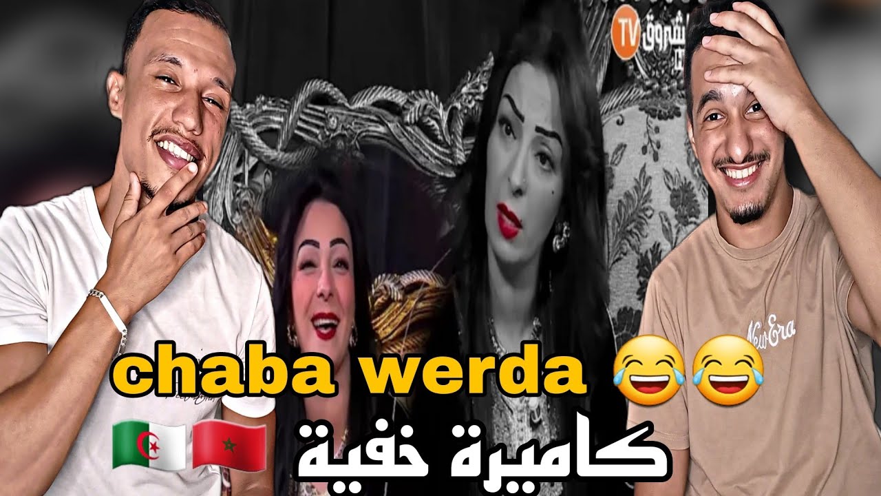دار التكسار | مع وردة شارلمونتي (Reaction)🇲🇦🇩🇿🇹🇳 كانت اتتقتلو😂😂😂