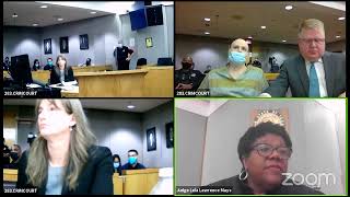 Judge Lela Lawrence Mays' Zoom Meeting on Ex Parte Randy Halprin
