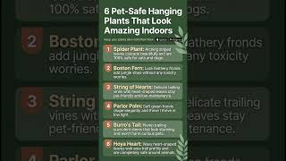 6 Pet-Safe Hanging Plants That Look STUNNING Indoors 🌿🐾 #PetSafePlants #HangingPlants #Houseplants