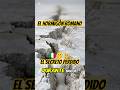 El hormigón romano: El secreto perdido 🔱🤫🇮🇹 #hormigón #roma #secretos #reels #datohistorico