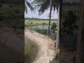 inside a Real Rural Village Fishing pond