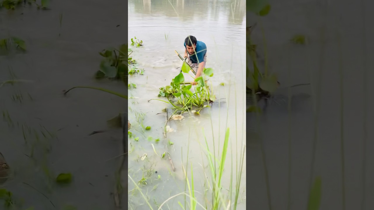 Unbelievable Real Village Life Fish Hunting 