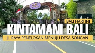 KINTAMANI BALI - Jl. Raya Penelokan menuju desa songan | BALI HARI INI | BALI UPDATE