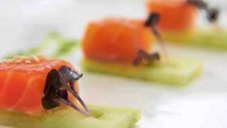 Melbourne Caterers Crave Catering