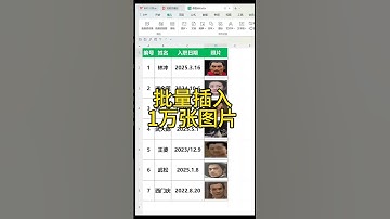 #excel 批量插入1万张图片，你学废了吗#办公技巧 #玩转office #0基础学电脑