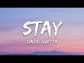 David Guetta feat Raye - Stay (Lyrics) Don't Go Away