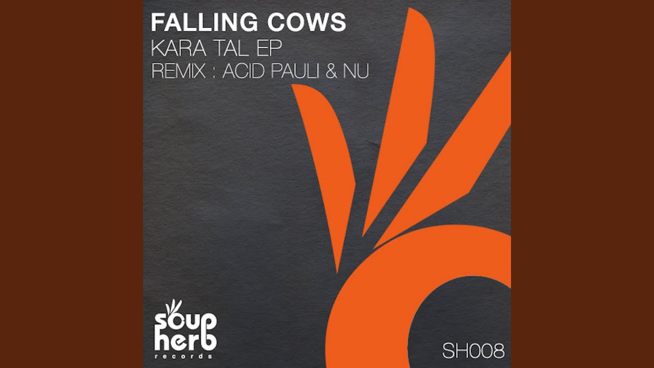 Kara Tal (Acid Pauli & NU Remix)