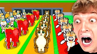 Steal a Brainrot, aber mit 5 SPUREN...