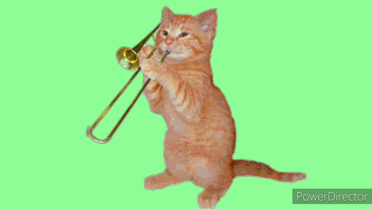 FRAGEN STELLEN !!!!!!!! - YouTube