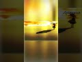 Сумеречная мелодия shorts #shorts #short #shortsvideo #shortvideo #аниме #amv #амв #анимеклип #клип