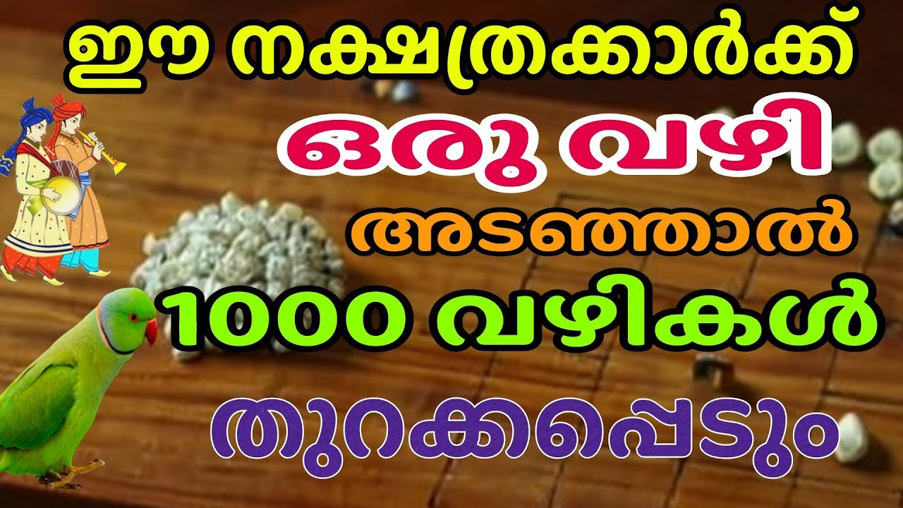 ഒരു വഴി അടഞ്ഞാൽ ഈ നക്ഷത്രക്കാർക്ക് ഒരായിരം വഴികൾ തുറക്കപ്പെടും Astrology Malayalam jyothisham 