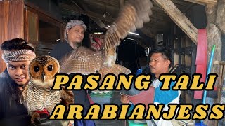 PEMASANGAN TALI KAKI BURUNG HANTU || ANKLET OWL ARABIAN JESS