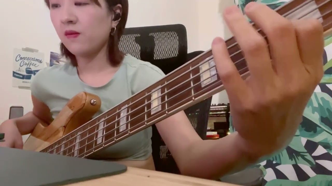 vulfpeck- simple step (bass cover)