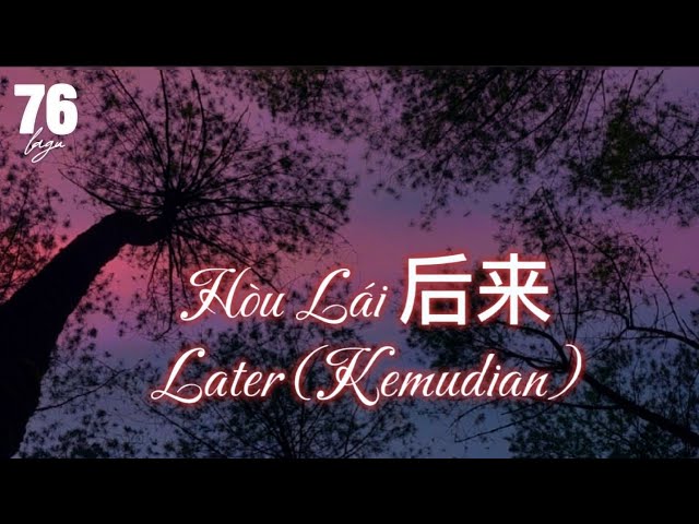 Hòu Lái 后来 Later - Liú Ruò Yīng 刘若英 lyrics terjemahan #lyrics #lagu76 class=