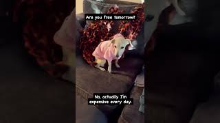 Maddie Is Expensive Everyday