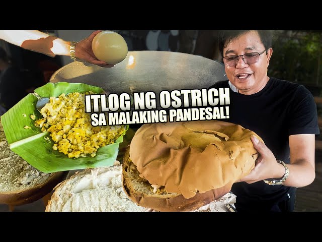 ITLOG NG OSTRICH NA PINALAMAN SA MALAKING PANDESAL + NAGLUTO AKO NG BULANGLANG| Buhay ni Idol Ep. 12 class=