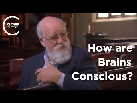 Daniel Dennett - How are Brains Conscious?