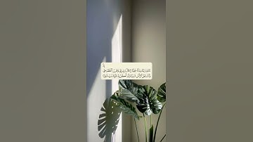 "إِذْ نَادَىٰ رَبَّهُ نِدَاءً خَفِيًّا - تلاوة هادئة تريح الأعصاب - شريف مصطفى - سوره مريم ♥️.