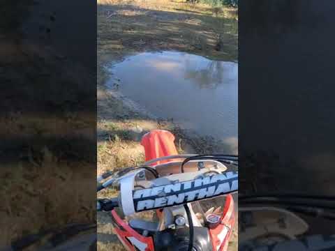 Honda CRF250 ripping🔥#shorts