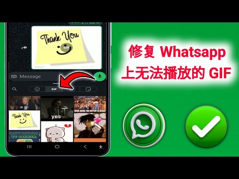 如何解决 WhatsApp 2025 年 GIF 无法播放问题 | WhatsApp GIF 无法显示解决方案