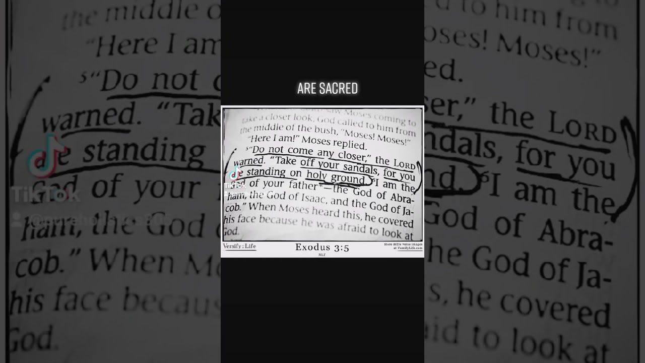 Purity: a visual art project by Yve🦚. 