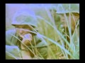 Vietnam war music video Company of Heroes