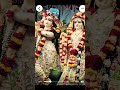 हरि सुन्दर नंद मुकुंदा हरि केशव हरि नारायण हरि नारायण हरि ओम्।