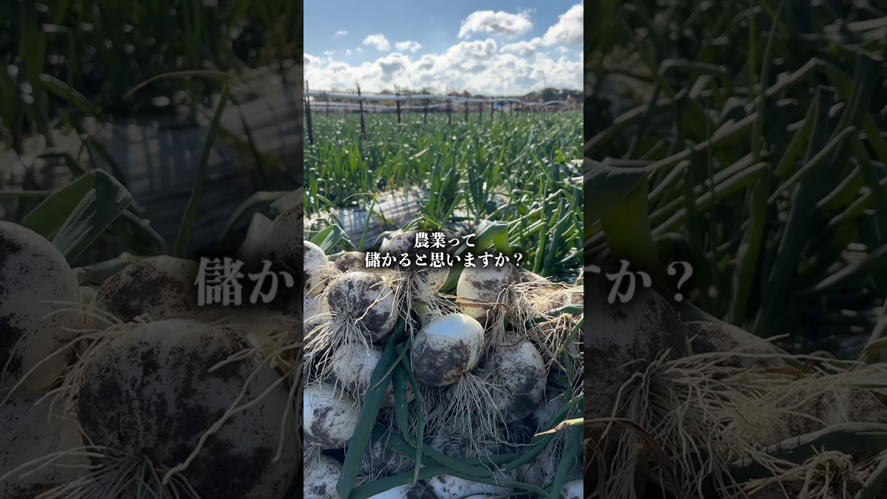 農業って正直儲かるの? #shorts