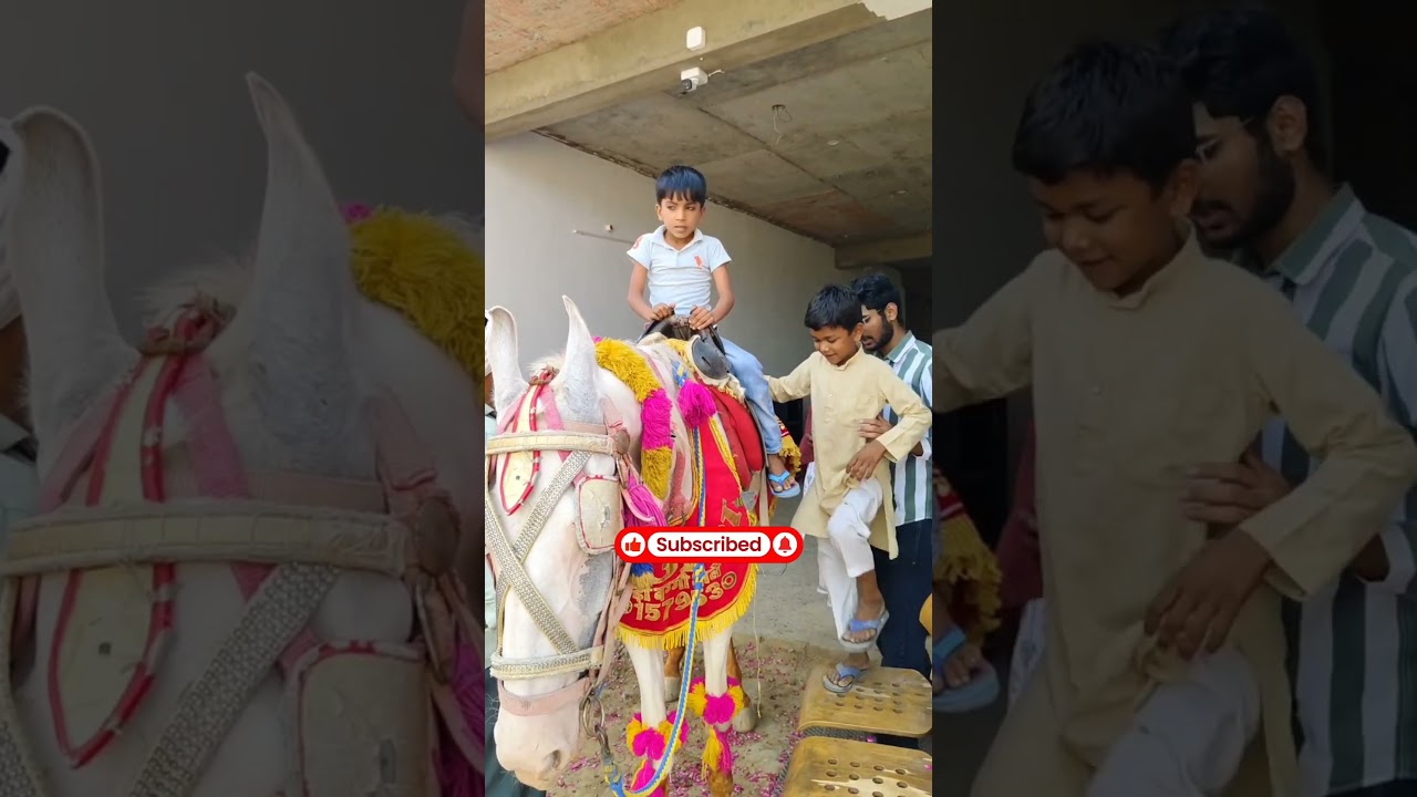 Horse riding event inaugurated at Millat School Mewat 