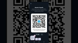 How to connect wallet on YESCOIN screenshot 4