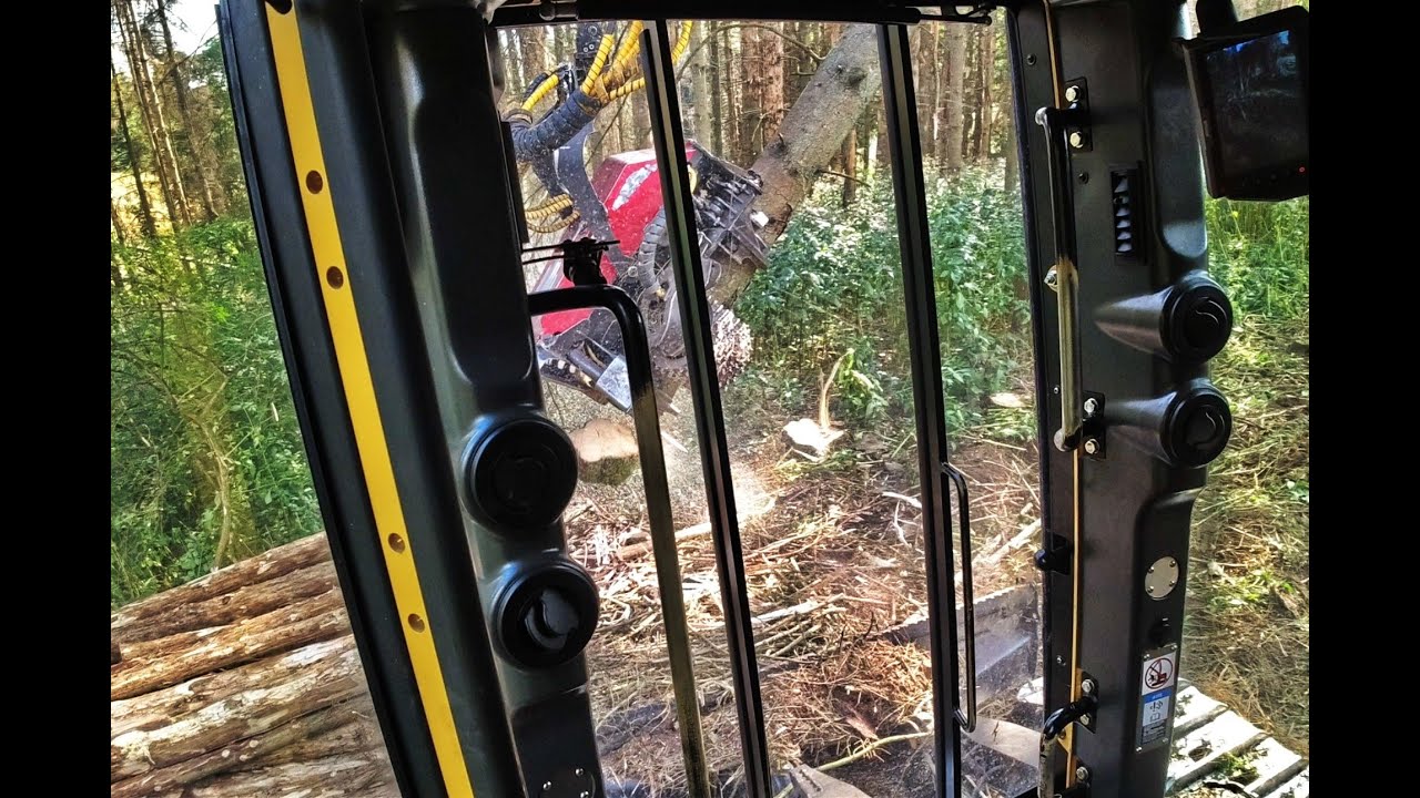 🌲*OnbBoard* TCI LH822D • BIG TREES • Canadianloggers • LoggingExtrem • HarvesterAction • J.Clohse 🌲