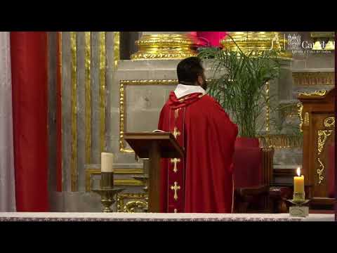 Santa Misa | Domingo de Ramos | 29 de Marzo de 2026.