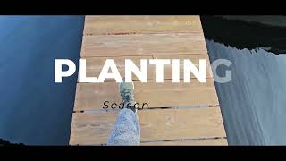 Planting Season 2025
Welcome to season 2025 of planting of the tomatoes!
We learned so much. I used an auger bit to drill the holes for the plants.
I know it is kinda of ghetto but it works!
Eventually down the road, I will get a planter machine. Lol.
Carmela came in for a special appearance and I loved it.
Thank you for supporting CJM Farms. Planting Season 2025