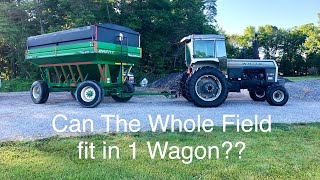 Hauling Wheat to the Elevator in a Real Gravity Wagon