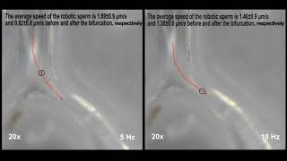 Khalil et al. - BioRob 2018 - Surgical Robotics Lab