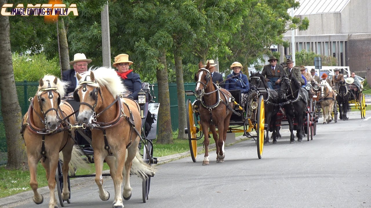 koetsenparade blankenberge 2019 4K UHD
