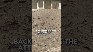 Who do back biting #motivation #shorts #quotes Content