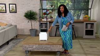Ultimate Innovations 10 Self-Watering Planter with Trellis on QVC