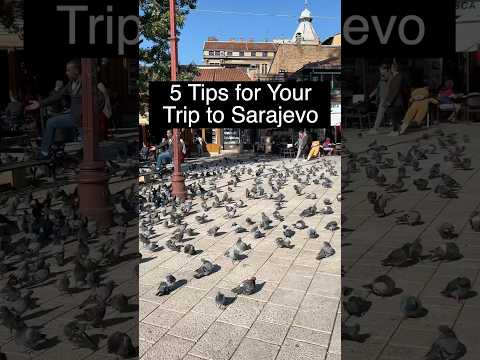 5 tips for