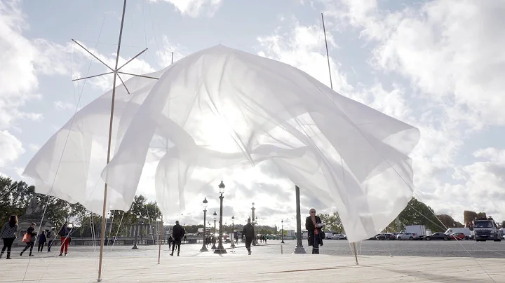Cecilie Bendixen: Tentative Spaces / FIAC hors les...