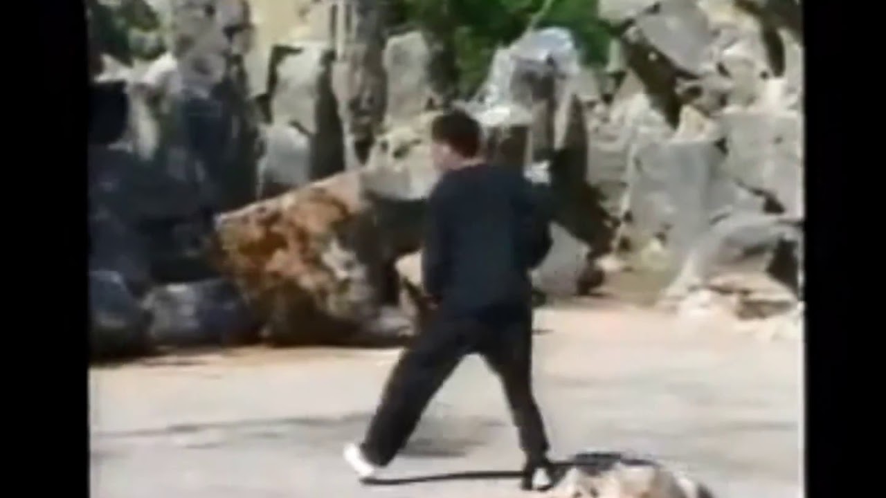 Traditional Shaolin - Sanlu Luohanquan (Zhu Tian Xi) - Shi De Gen lineage