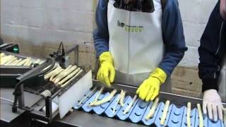 Hermeler Autoselect Kleurensorteerder