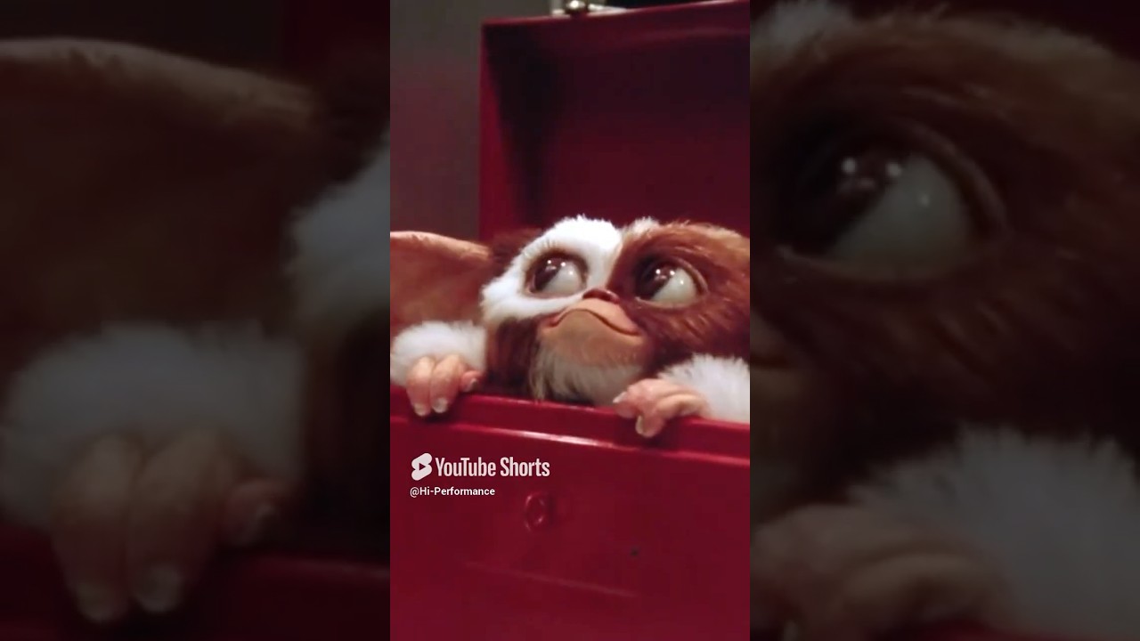 GIZMO is the Cutest Pet you could ever have | Gremlins 2 The New Batch (1990)