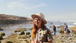 Tidepool Do's & Don'ts (Audio Described)