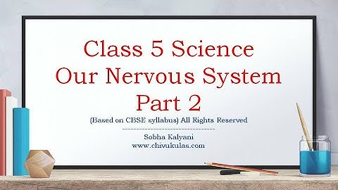 Our Nervous System Class 5 Science || Class 5 Science Our Nervous System Part 2