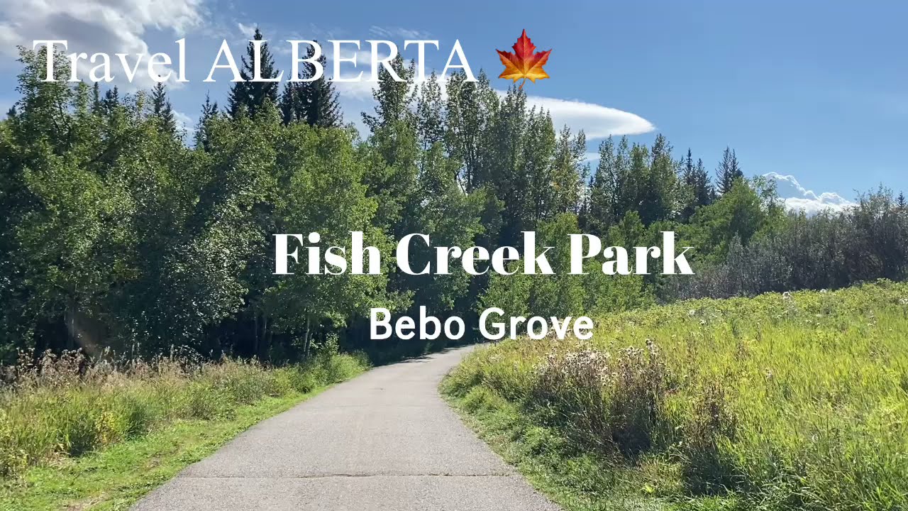 Travel Alberta Fish Creek Park Bebo Grove